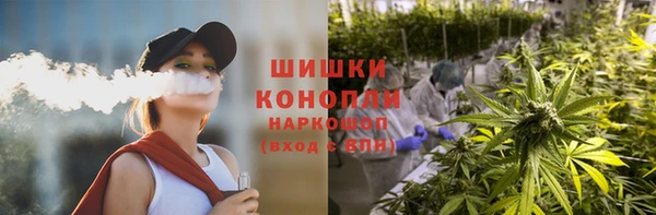 соль ск Гусев