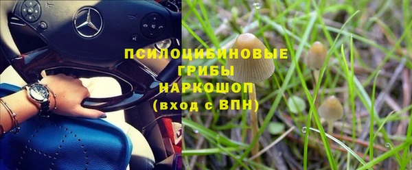 соль ск Гусев